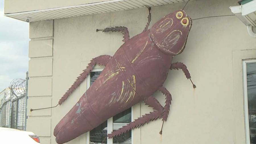 how-to-keep-pests-out-of-your-home-as-temperatures-increase