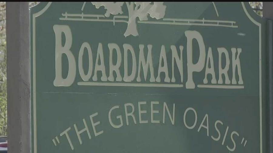 lineup-for-boardman’s-music-in-the-park-announced