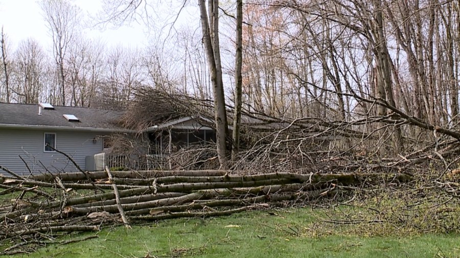 trees-crash-into-brookfield-home