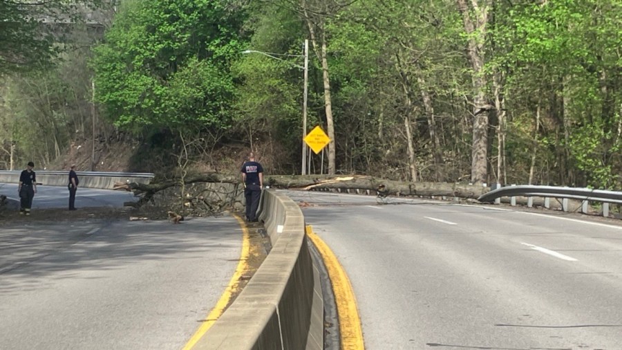 tree-falls-over-shenango-valley-freeway