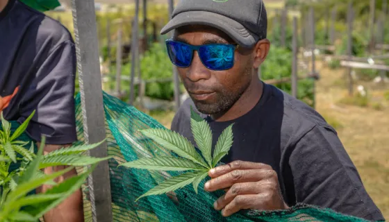 check-out-our-420-2026-cannabis-gift-guide-#420