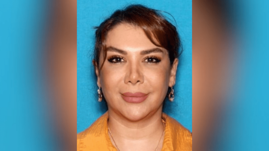 la.-woman-charged-with-trafficking-arms-on-behalf-of-iranian-government