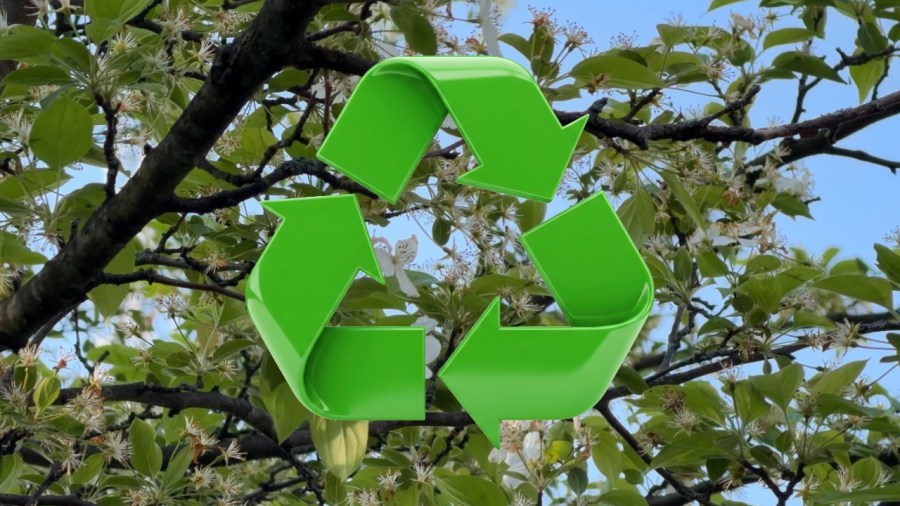 the-history-and-evolution-of-earth-day