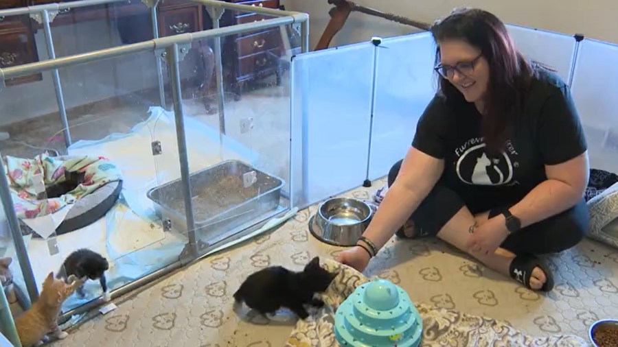 finding-pets-homes-to-foster-fails:-what-it’s-like-fostering-animals-in-the-valley