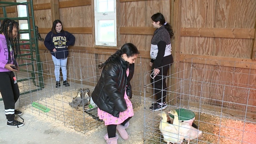 mill-creek-metroparks-hosting-farm-animal-baby-shower-this-weekend