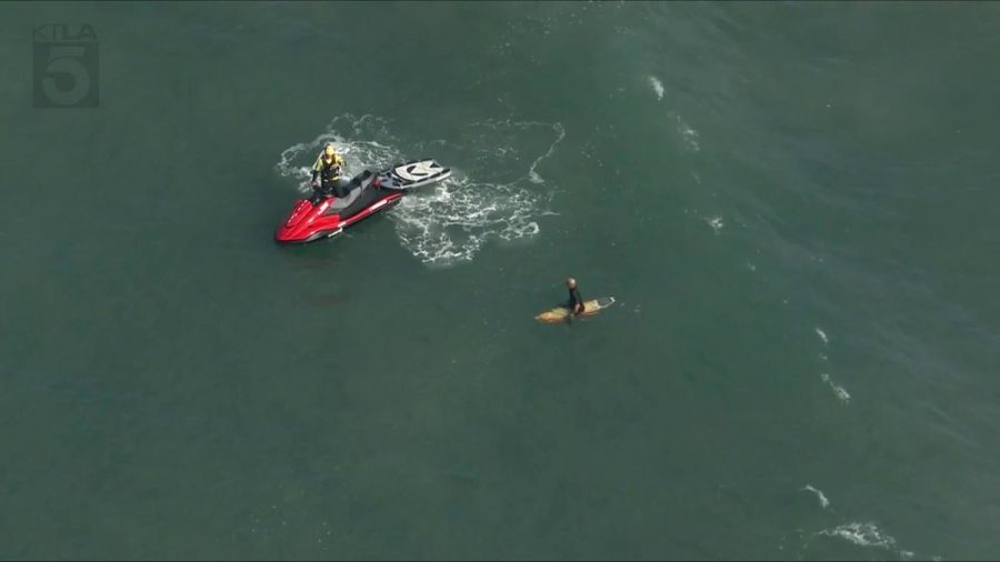aggressive-shark-shuts-down-surf-contest-in-california