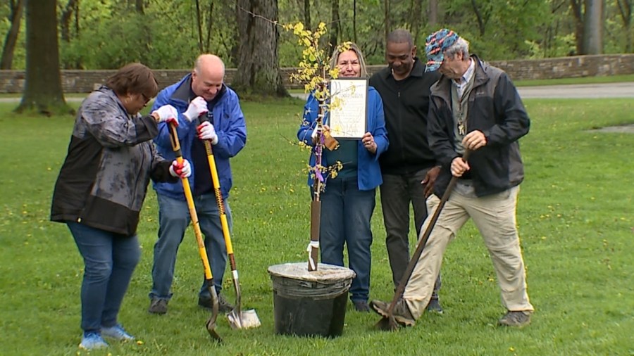 ceremonial-tree-planting-beautifies-warren