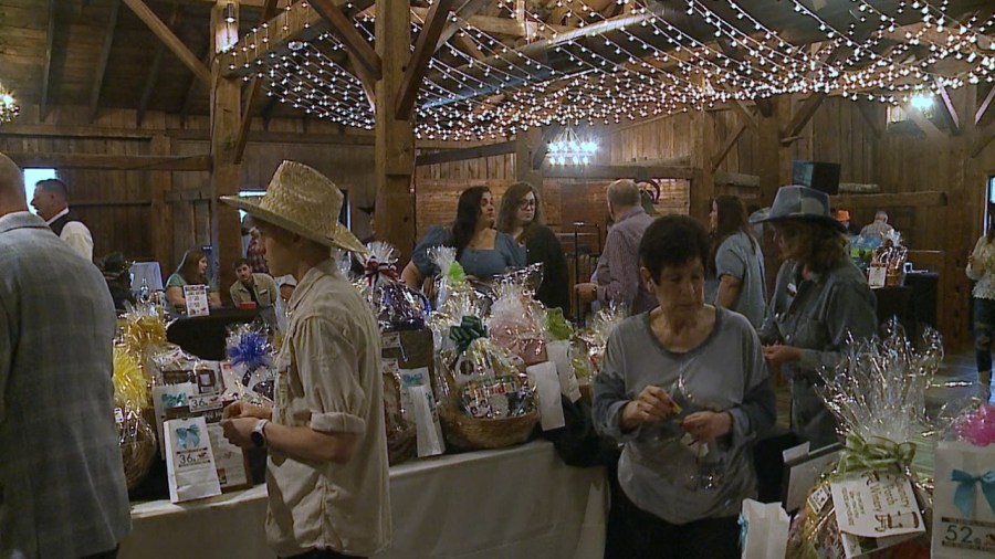 locals-get-their-country-on-to-help-foster-children