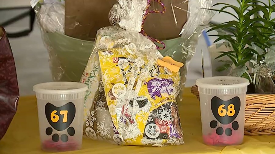 local-shelter-celebrates-seven-years-of-saving-animals-in-trumbull-county