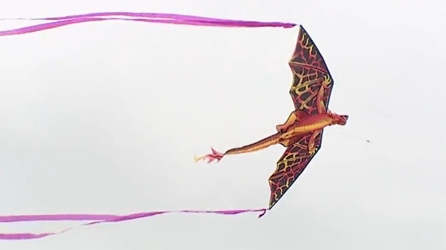 kites-visible-in-austintown-during-annual-festival