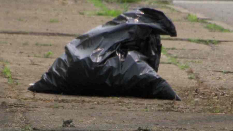 volunteers-needed-for-niles-community-cleanup-this-weekend