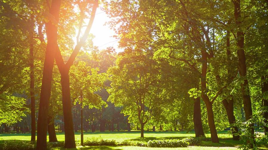 are-we-living-through-the-warmest-spring-to-date?