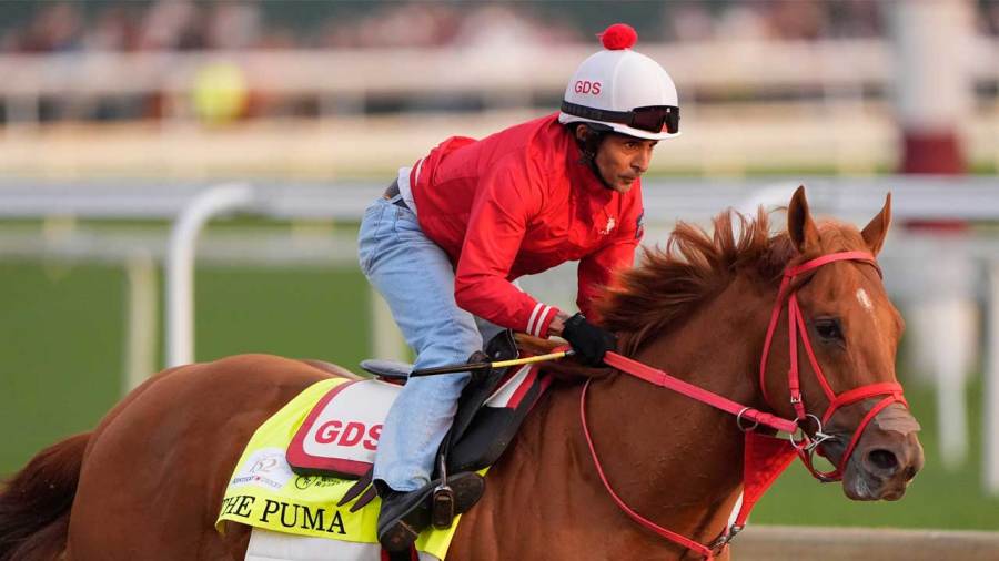 phantom-fireworks-to-represent-kentucky-derby-horse