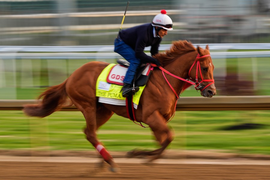 kentucky-derby-is-down-to-19-horses-after-the-puma-gets-scratched