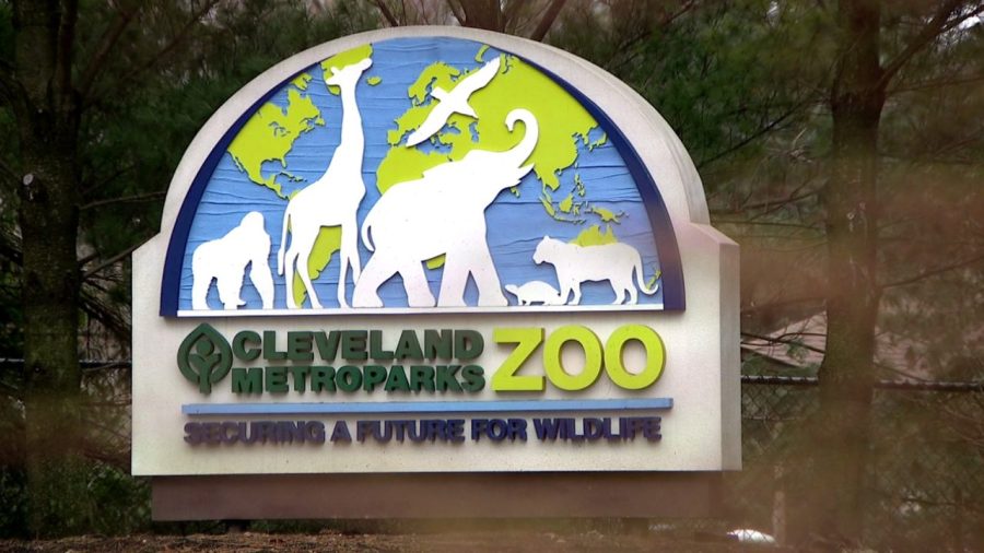 cleveland-metroparks-zoo,-akron-zoo-to-reopen-monday-after-threats