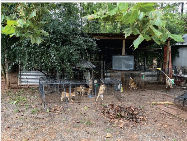 8-ohio-breeders-listed-in-annual-‘horrible-hundred’-puppy-mill-violations-report