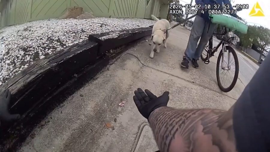 watch:-officer-buys-boots-for-dog-limping-on-hot-pavement