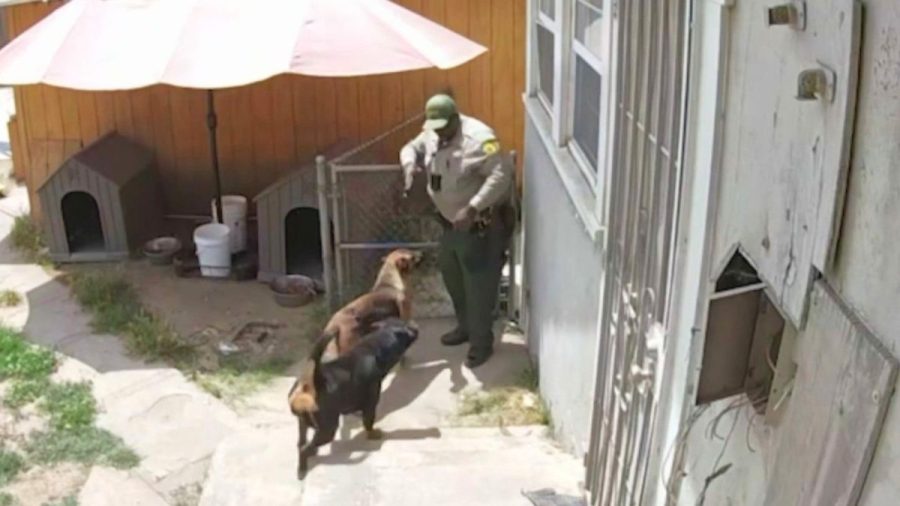 owner-outraged-after-deputy-shoots-and-kills-his-dog-in-california-backyard