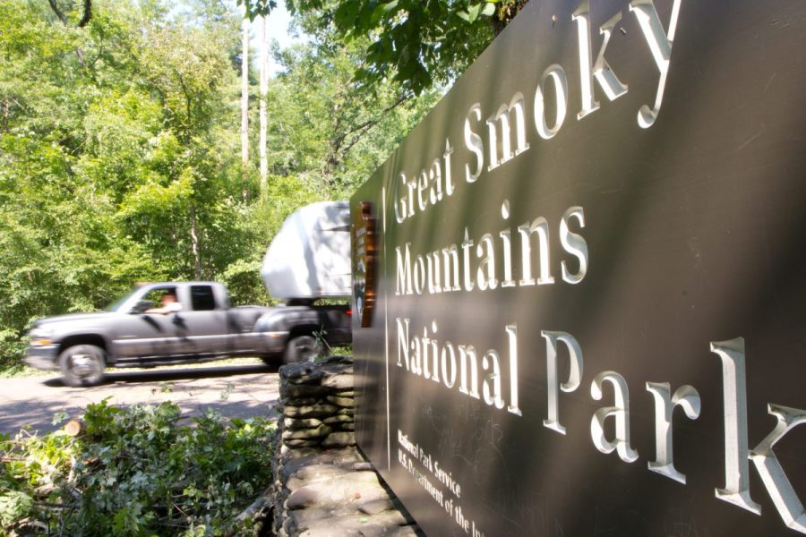 dozens-of-dead-vultures-dumped-in-national-park,-investigation-underway