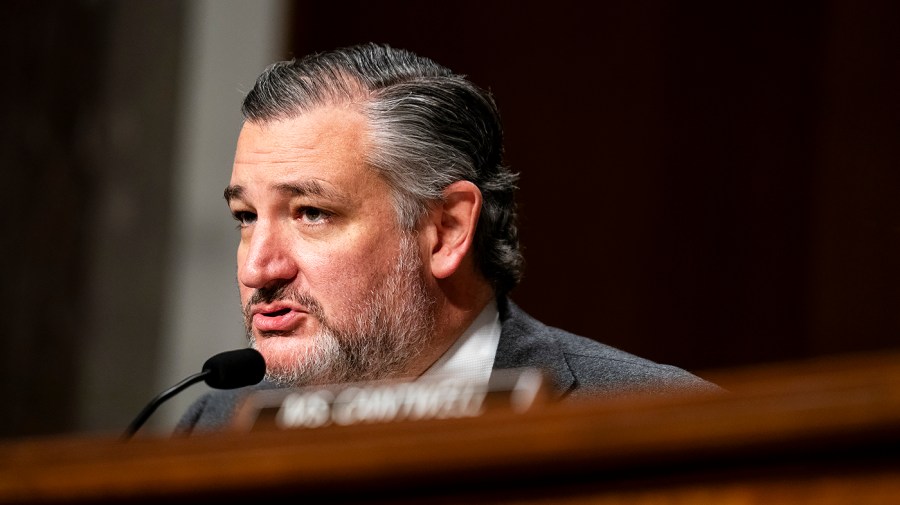 cruz-says-trump-accounts-offer-path-to-social-security-privatization