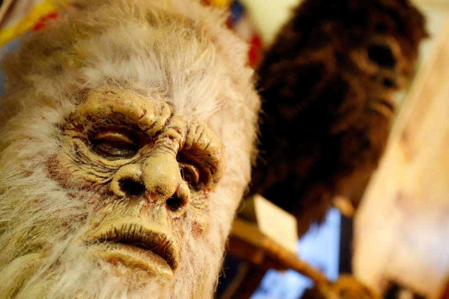 ‘it’s-good-to-be-skeptical’:-a-conversation-with-a-local-bigfoot-investigator