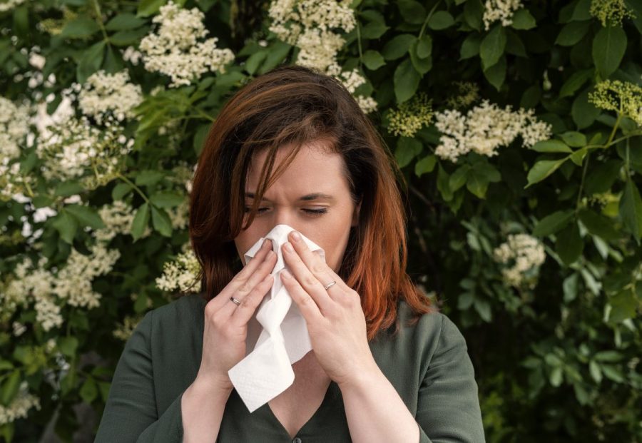 pollen-allergies-are-brutal-this-year-–-a-doctor-explains-why,-and-how-to-find relief