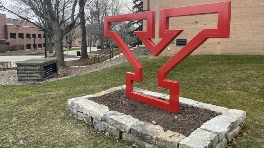 ysu’s-guin-fit-recognized-for-health-equity