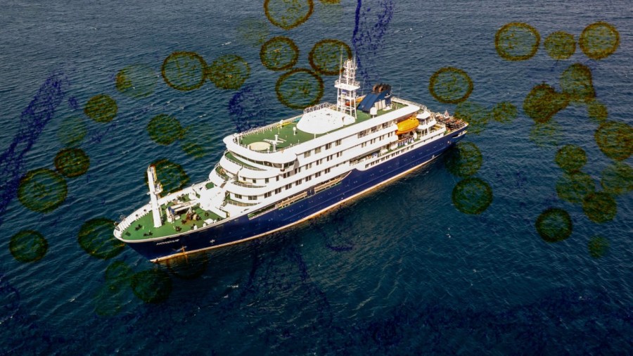 will-this-cruise-ship-be-safe?-inside-the-hantavirus-cleanup
