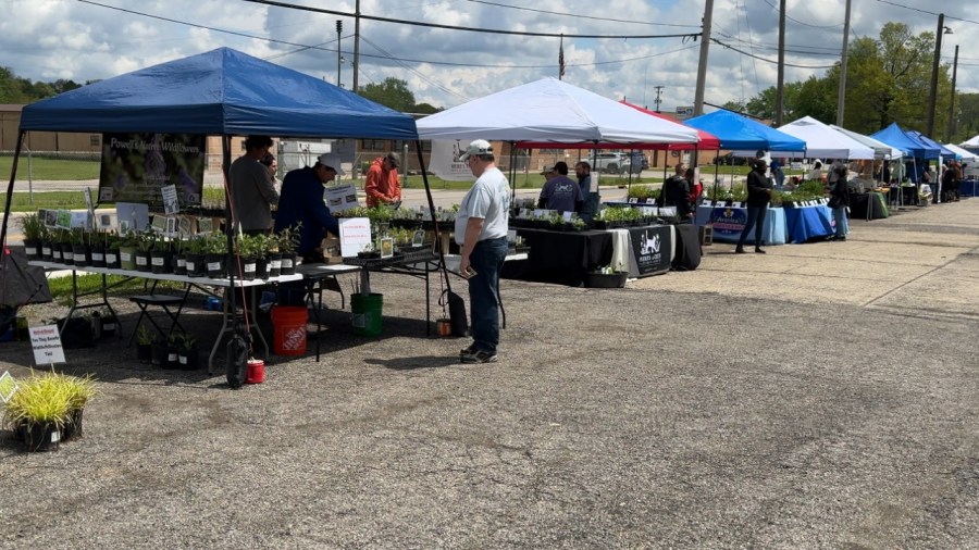 pollinator-palooza-brings-the-buzz