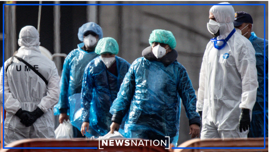 hantavirus-has-not-mutated-to-be-more-transmissible:-who
