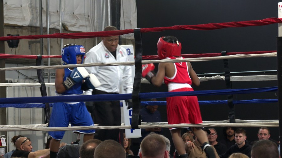 valley-boxing-showcase-underway-at-penguin-city