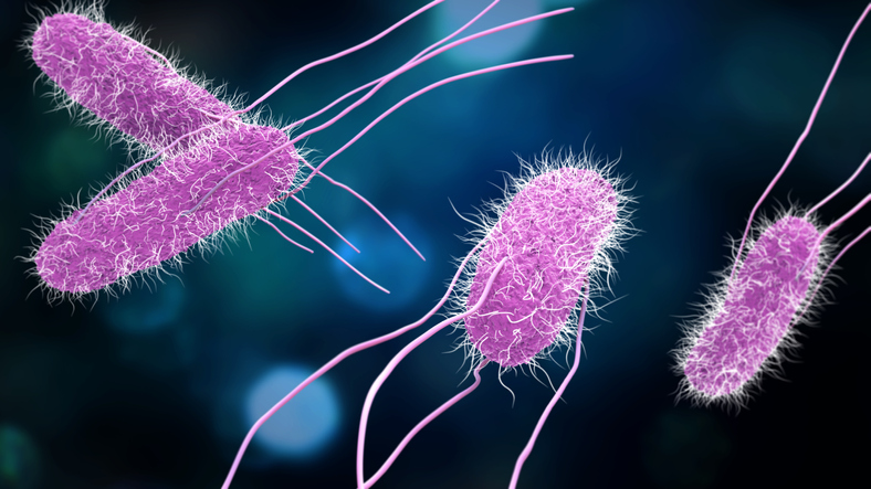 the-food-recalls,-alerts-issued-over-salmonella-concerns-this-month