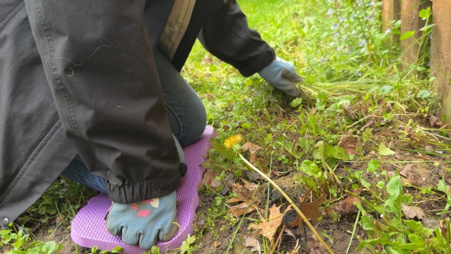 common-gardening-ailments-and-tips-for-relief