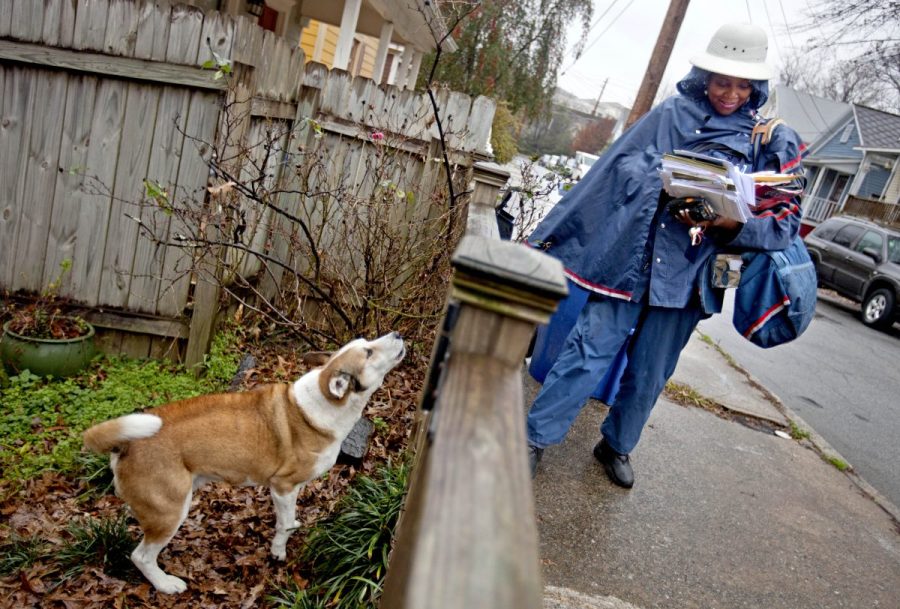 over-5,200-dog-attacks-among-postal-workers-recorded-in-2025:-the-cities-with-the-most-incidents