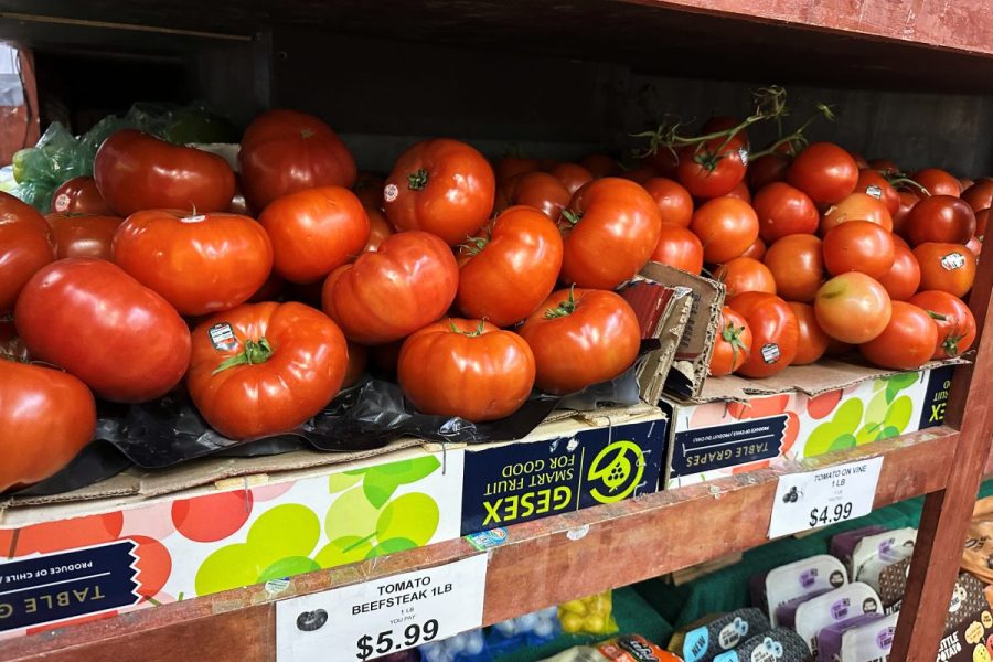 tomatoes-latest-symbol-of-america’s-affordability-squeeze