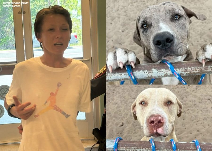 ‘because-of-your-uselessness’:-florida-woman-arrested-in-fatal-dog-attack