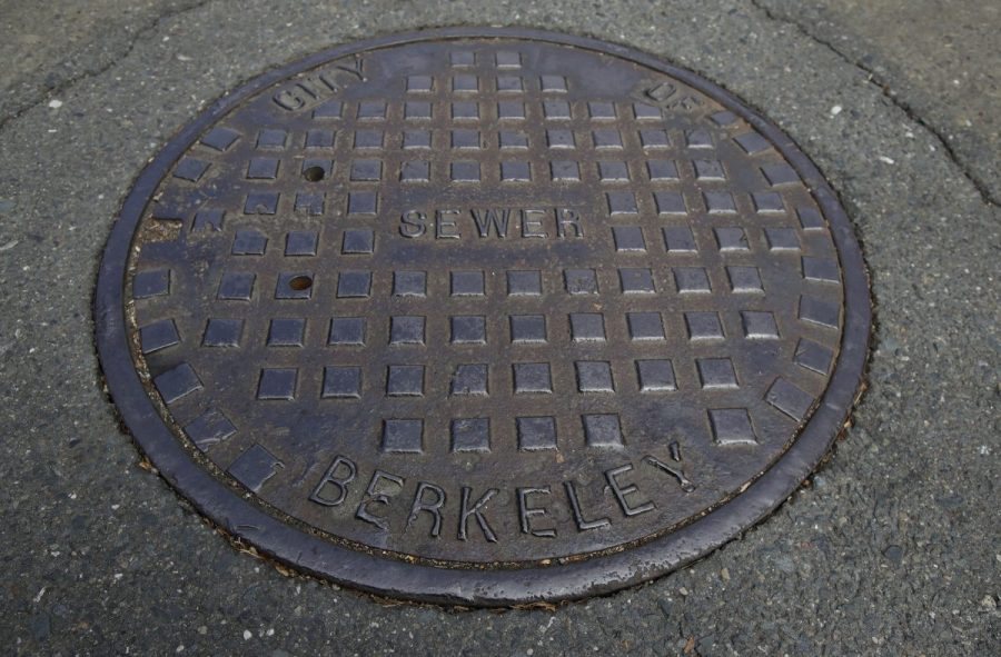 over-a-dozen-‘unauthorized-individuals’-emerge-from-manholes-in-brooklyn:-nypd