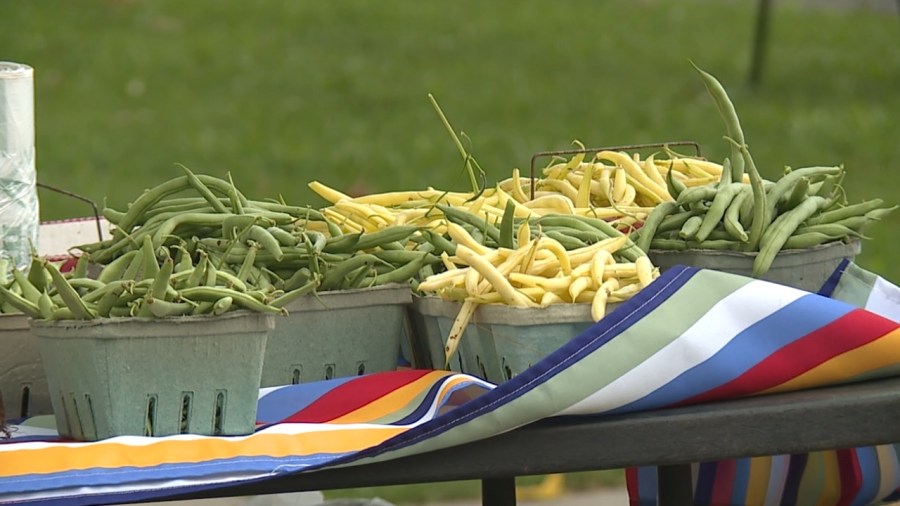 warren-farmers-market-returns-this-summer