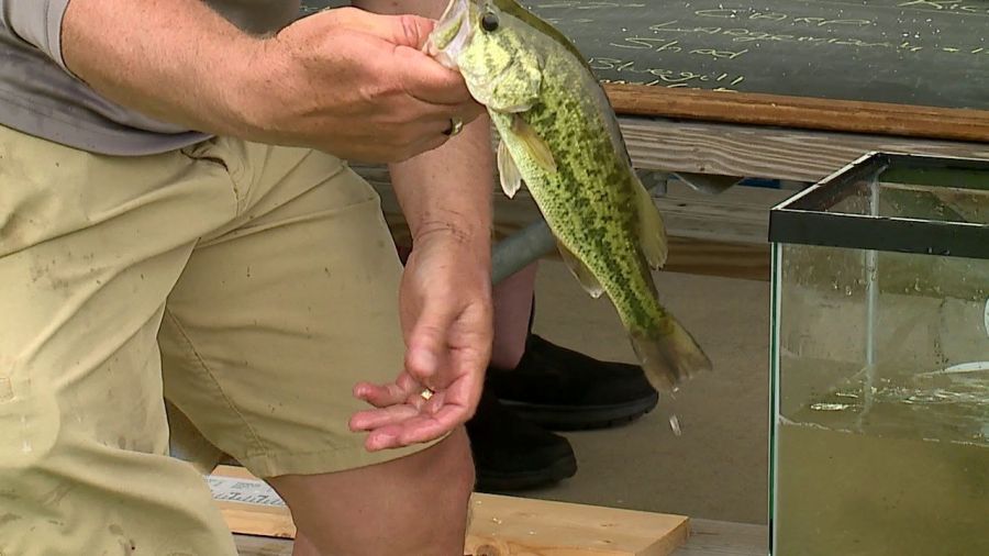 fishing-club-introduces-kids-to-fun-of-sport