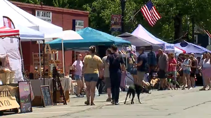 dogs-take-over-town-at-vendor-market-held-by-two-animal-rescues