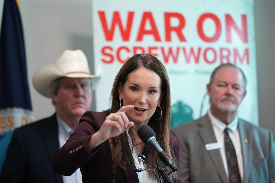 a-flesh-eating-cattle-parasite-spreads-beyond-texas-as-new-screwworm-cases-are-found