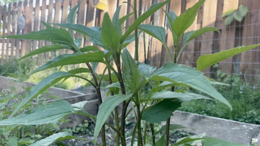 local-resources-for-valley-gardeners,-land-owners
