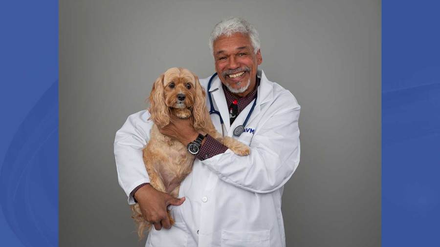 expert-advises-pet-owners-to-plan,-not-ignore-care