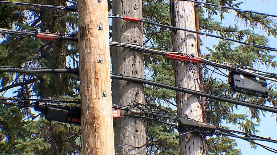 austintown-trustees-frustrated-over-utility-pole-maintenance