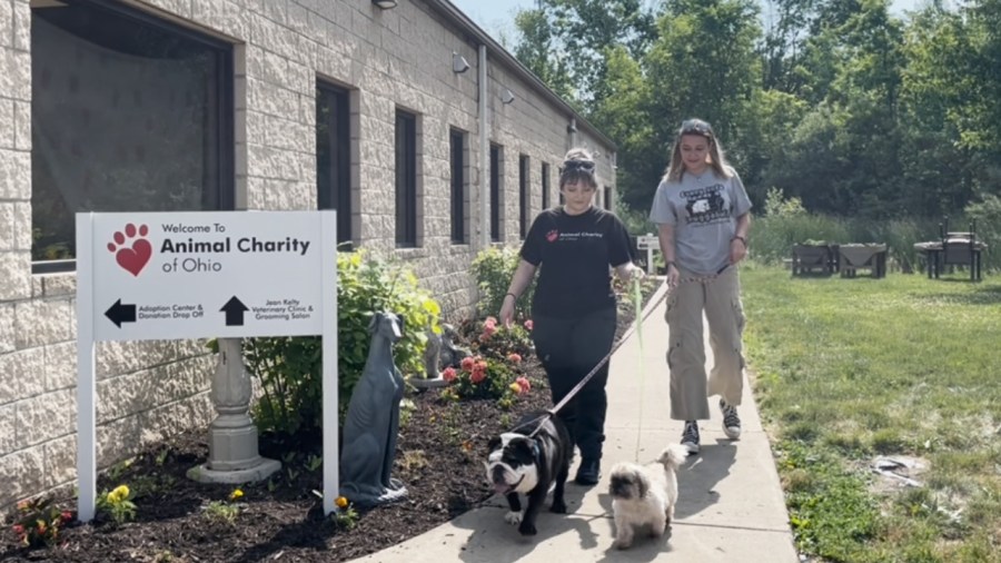 ‘critical-financial-challenges’-force-animal-charity-to-suspend-some-operations