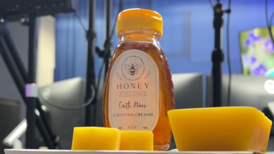 local-honey-and-allergies:-does-it-really-help?