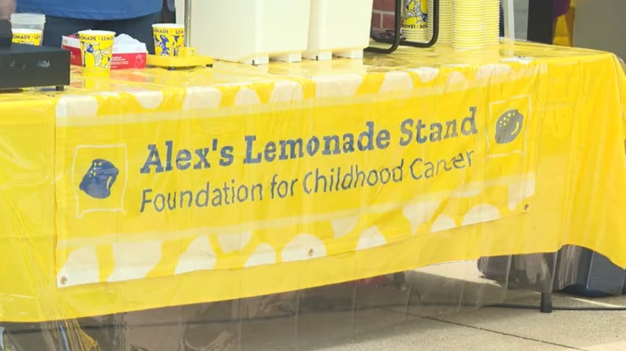 local-groups-turn-lemons-into-lemonade-for-a-sweet-cause