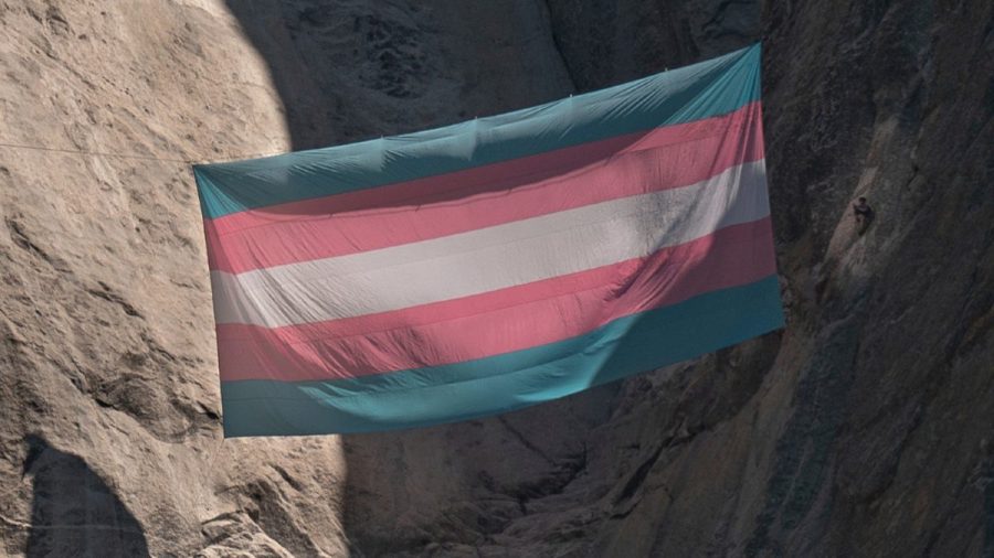 judge-finds-no-authority-to-reinstate-yosemite-ranger-fired-for-trans-flag 