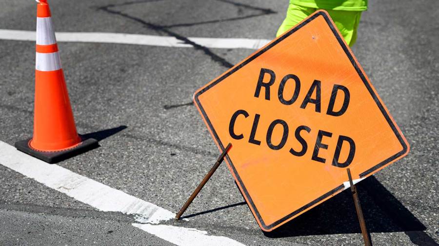 downed-tree-closes-road-in-austintown