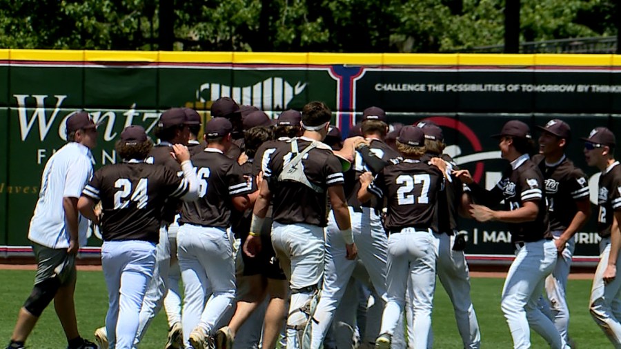 cardinal-mooney-baseball-falls-in-state-semifinals